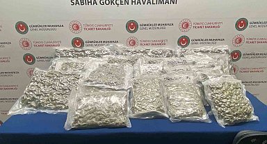 Ticaret Bakanlığı gümrük muhafaza ekipleri 182 kilogram uyuşturucuya el koydu