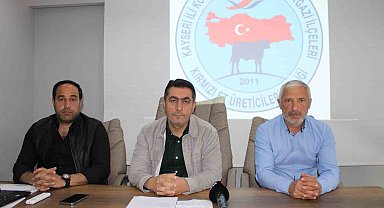 Üreticilere gebe düve desteği