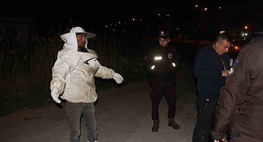 Arı kovanı yüklü kamyonet devrildi, olanlar oldu