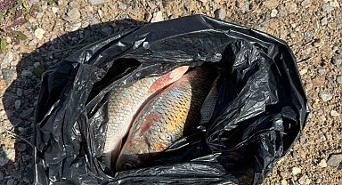 Kaçak Balık avı yapan 2 kişi yakalandı