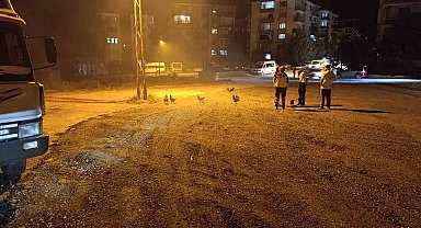 Beypazarı'nda kümes yangını: 41 tavuk telef oldu