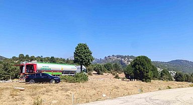 Çöplükte başlayan yangın ormana sıçradı