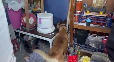 Kayseri'de 1 kilo 550 gram uyuşturucu ele geçirildi