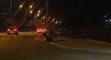 Konya'da yol kenarında 3 gencin tekme tokat kavgası kamerada