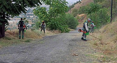 Ali Dağı'nda yangına karşı üst düzey önlem