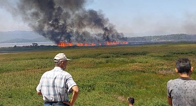 Beyşehir'de sazlık alanda çıkan yangın havadan müdahale ile söndürüldü