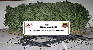 Konya'da jandarmadan uyuşturucu ve silah operasyonu