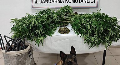 Konya'da uyuşturucu tacirlerine operasyon