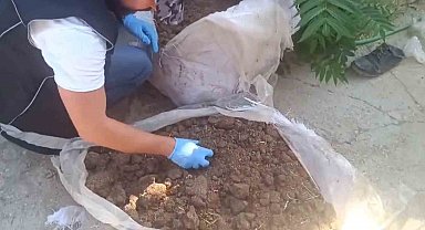 Konya'da zehir tacirlerine operasyon: 712 bin hap ve 65 kök kenevir ele geçirildi