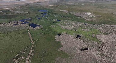 Sultan Sazlığı kuş değil tilki cenneti oldu