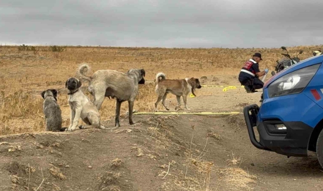 Arazi ve Köpek Kavgası Cinayetle Sonuçlandı