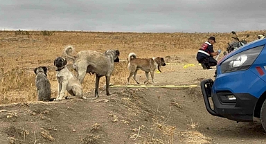 Arazi ve Köpek Kavgası Cinayetle Sonuçlandı