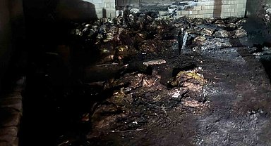 Niğde'de ahır yangını: 170 koyun telef oldu