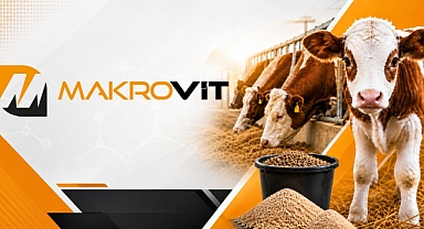 Rumen Korumalı Kolin Süt İneklerinde Verimi Nasıl Destekler?