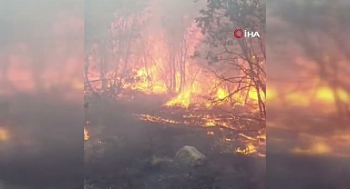 Yangında şehit olan ekibin son görüntüsü ortaya çıktı
