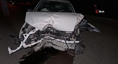 Kontrolden çıkan otomobil ağacı ve direği devirdi, sürücü kaçtı